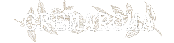 light logo